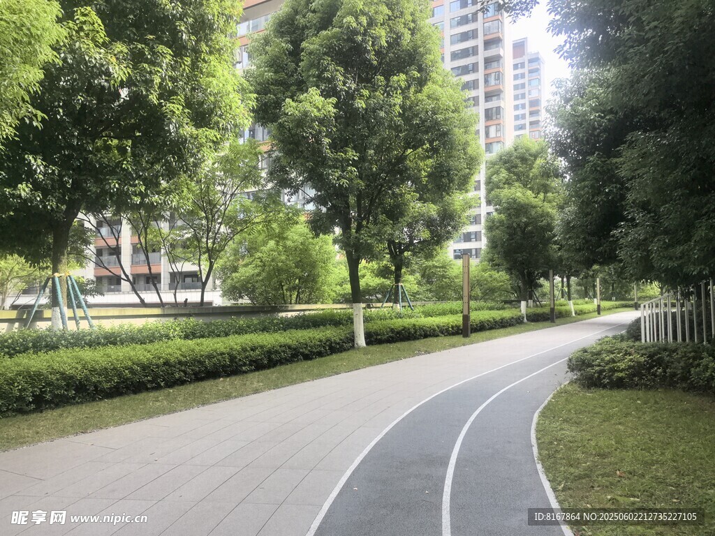 城市中的静谧林荫步道