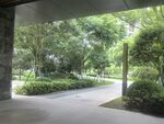 户外林荫下的宁静小道