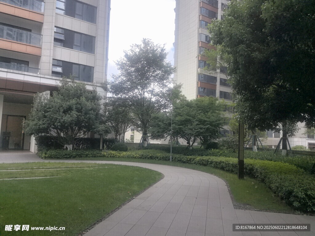 城市中的静谧绿化小径