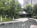 城市中的静谧绿化景观