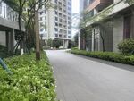 小区内幽静的绿植小道