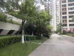 小区内的林荫步道景观