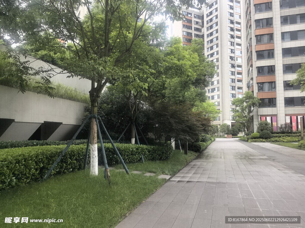 小区内的林荫步道景观