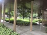 户外廊下绿植景观
