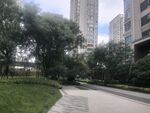 小区内的林荫步道景观