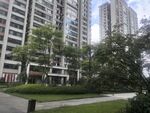 现代高层住宅旁的绿化景观