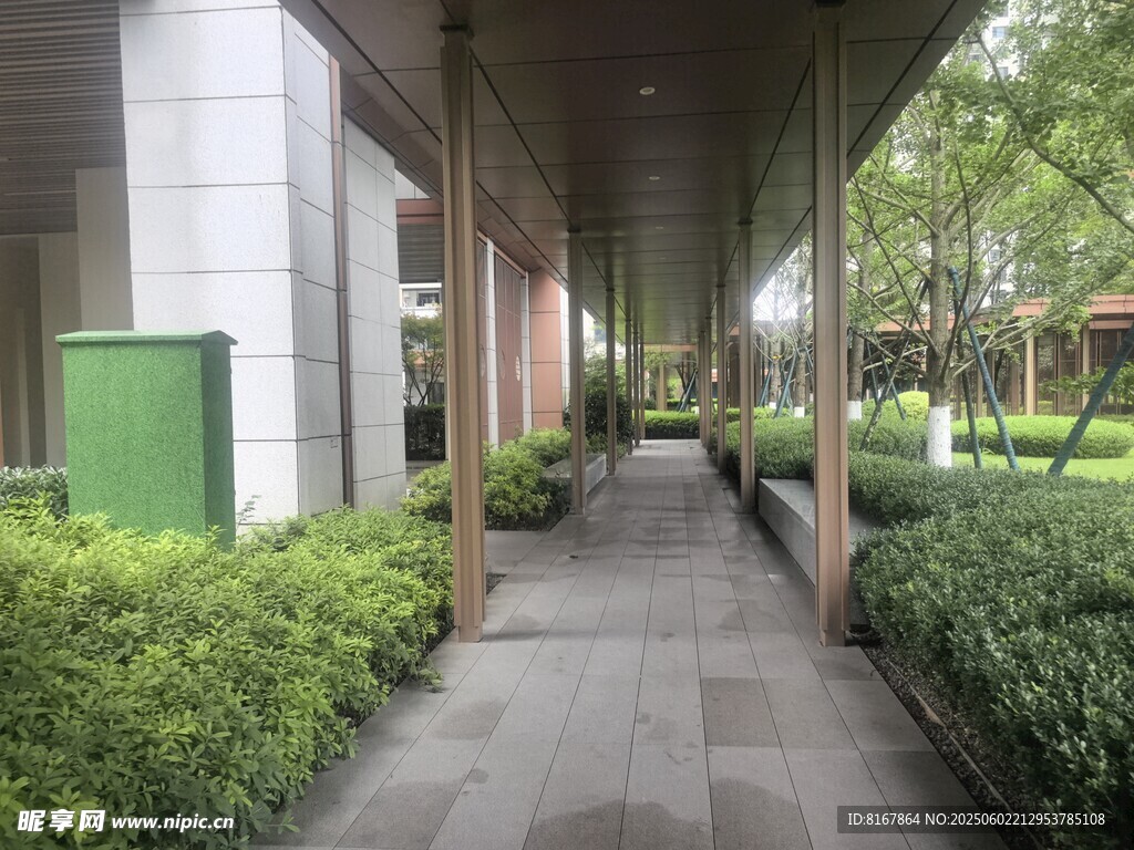 现代建筑旁的绿植步道
