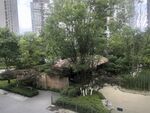 城市中的静谧绿植景观