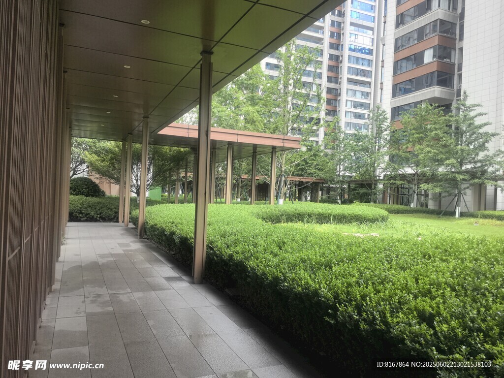 小区内的绿荫长廊景观