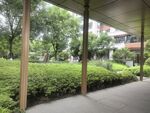 户外绿荫下的休闲长廊