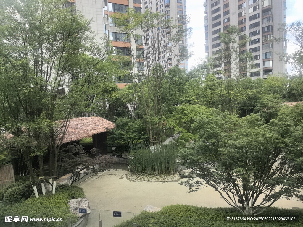 城市中的静谧园林景观