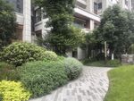 小区内的绿植小径景观