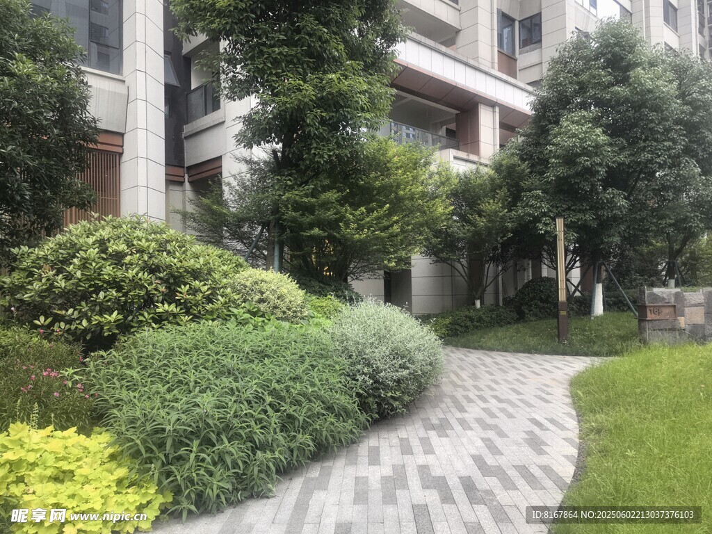 小区内的绿植小径景观