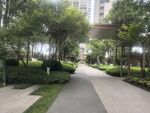 城市中的静谧林荫步道