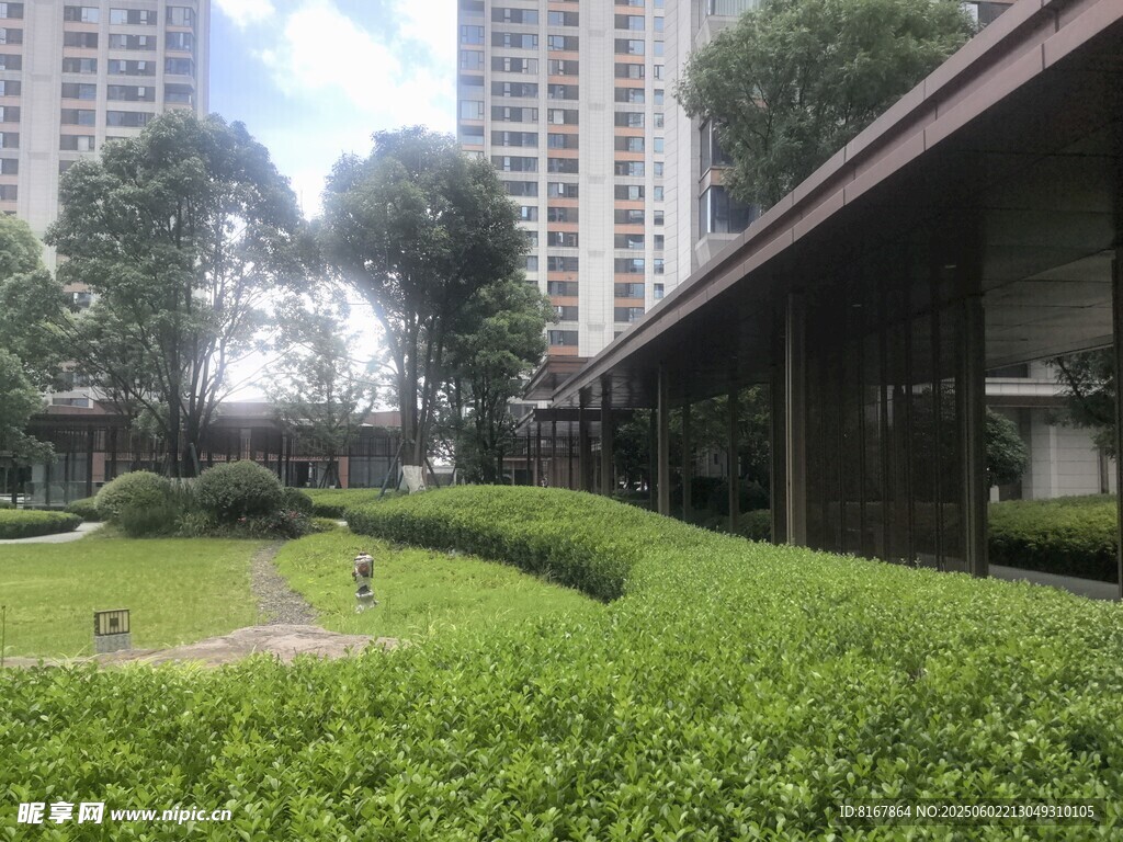 现代建筑旁的绿植景观