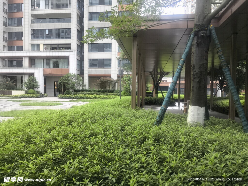 小区绿植景观一角