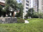 小区内的绿意盎然景观