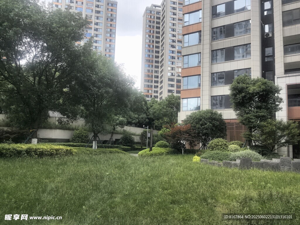 小区内的绿植与高楼景观