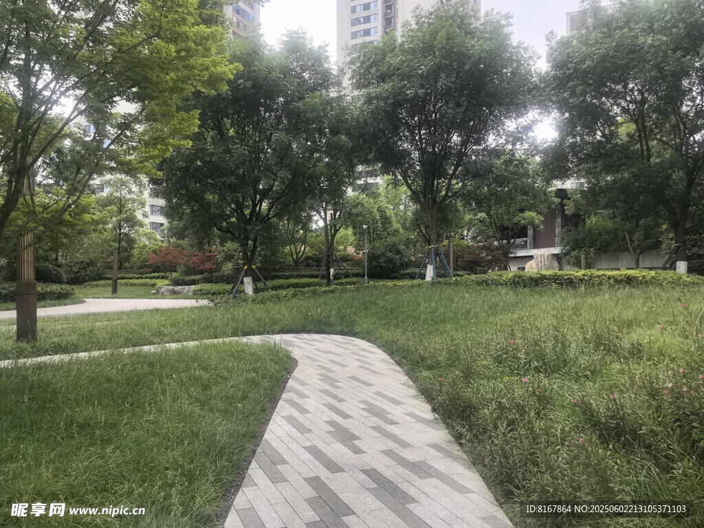 城市中的静谧林间小径