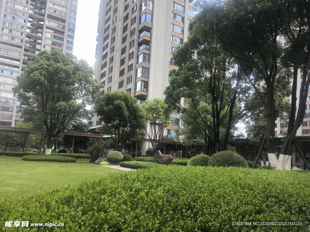 城市中的静谧绿化景观