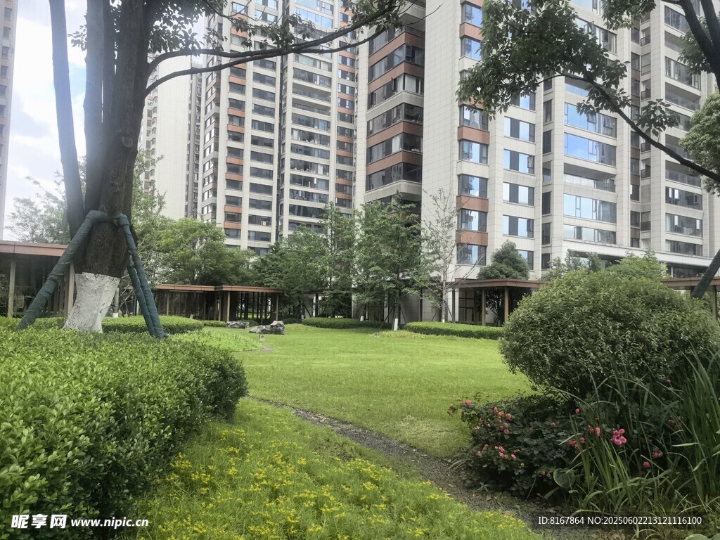 小区内的绿意盎然景观