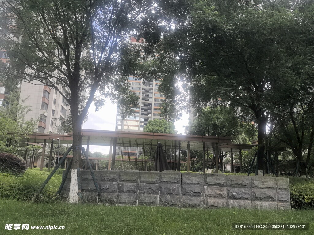 城市中的静谧绿植景观