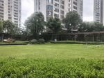 城市中的绿意草坪景观