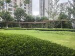 城市中的静谧绿植景观
