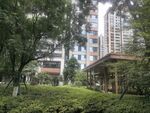 城市中的静谧园林景观