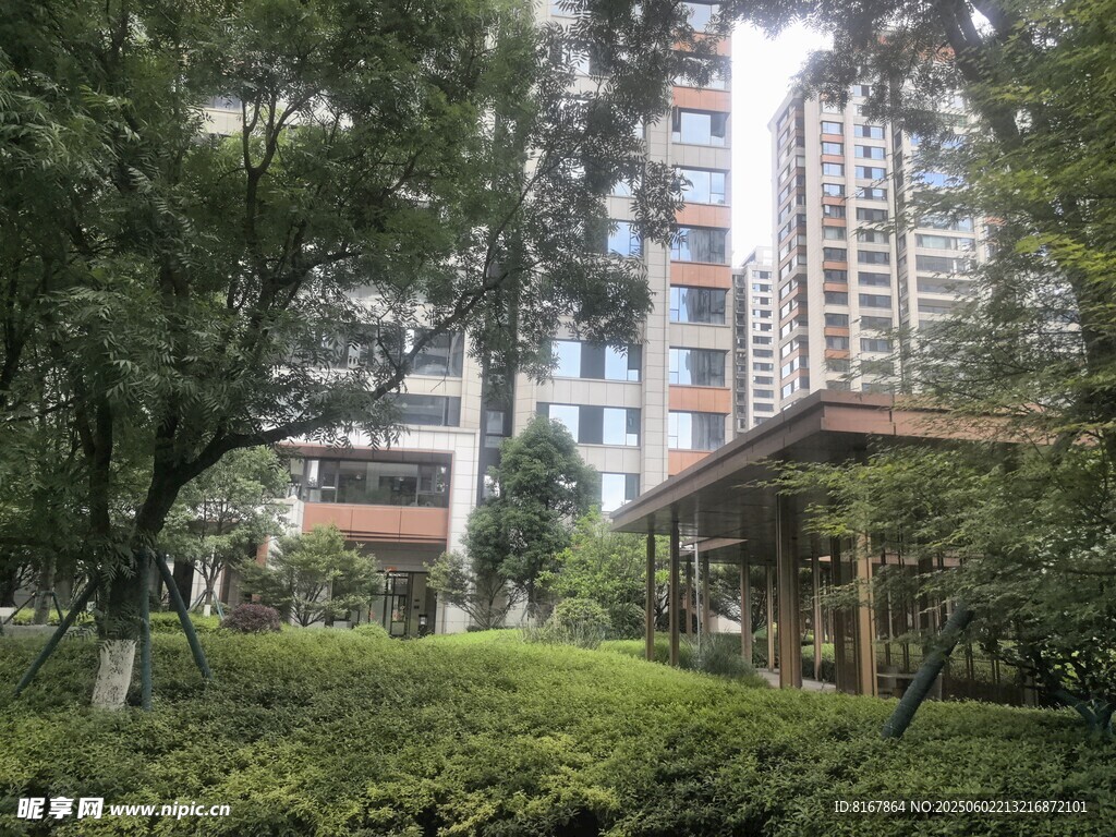 城市中的静谧园林景观