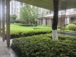 庭院绿植景观一角