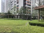 小区内的绿化景观