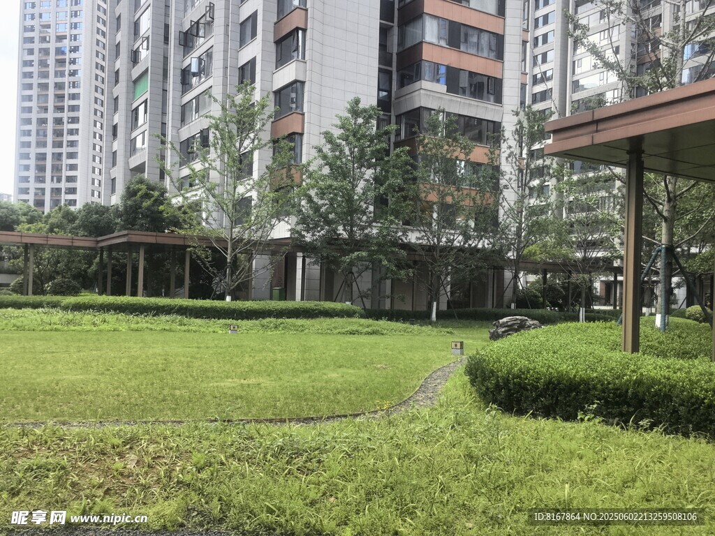 小区内的绿化景观