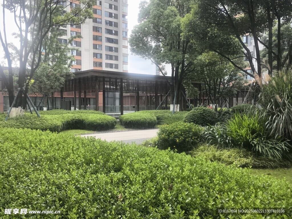 城市中的静谧园林景观