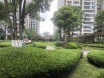 小区内的绿植景观