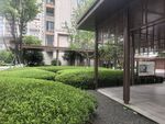 庭院绿植与廊架景观
