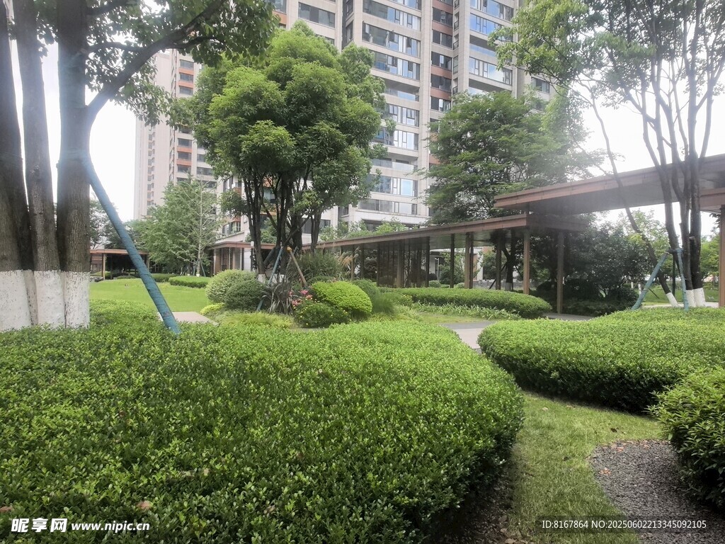 小区内的绿意盎然景观
