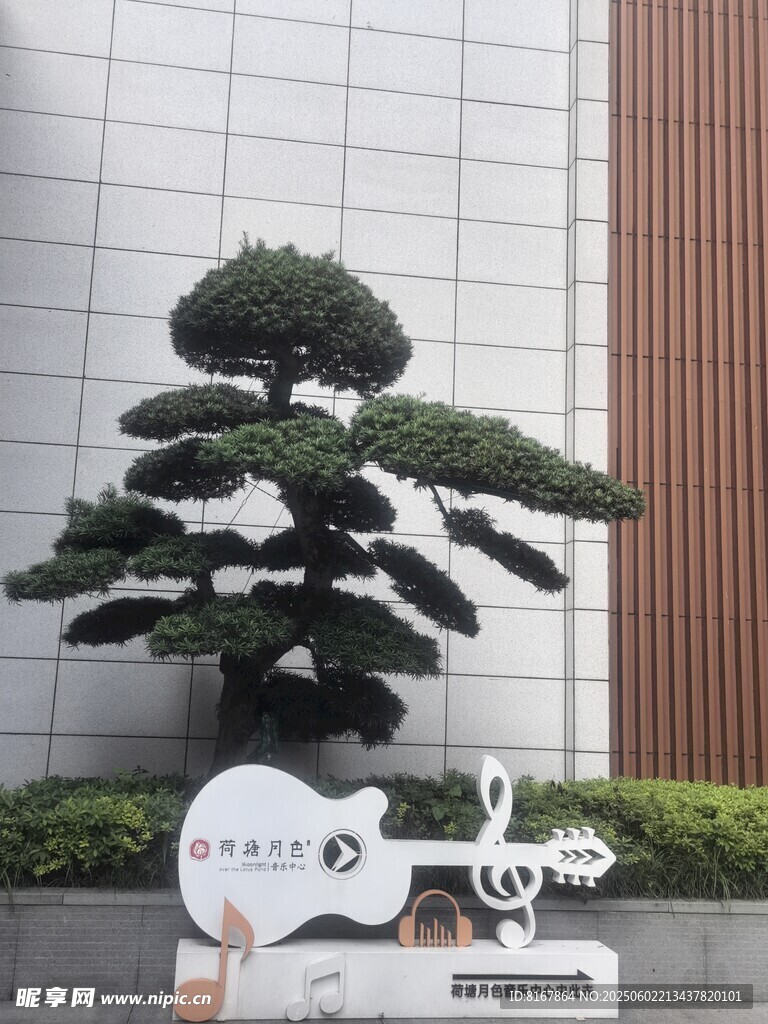 庭院造型松与爱心装饰