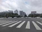 城市斑马线与远处建筑群