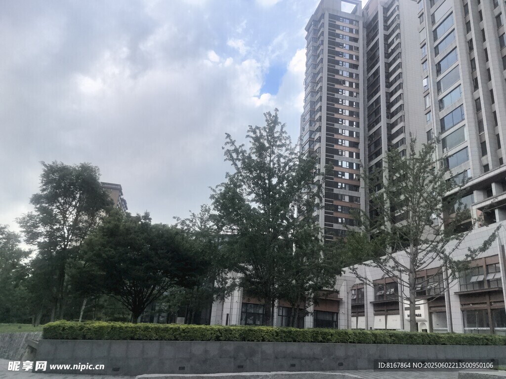 高层住宅旁的绿树景观