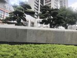 城市中的绿植与建筑景观