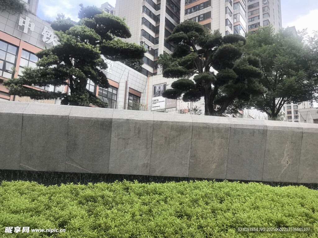 城市中的绿植与建筑景观