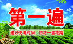 花生药贴