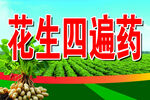 花生四遍药宣传图