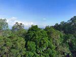 旗峰山 灯笼顶 风景