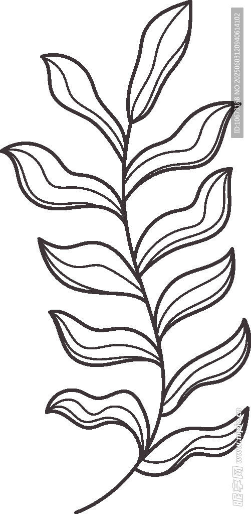 简约线条风植物枝叶图案