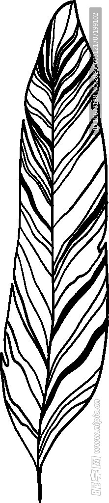 简约黑白羽毛线条插画