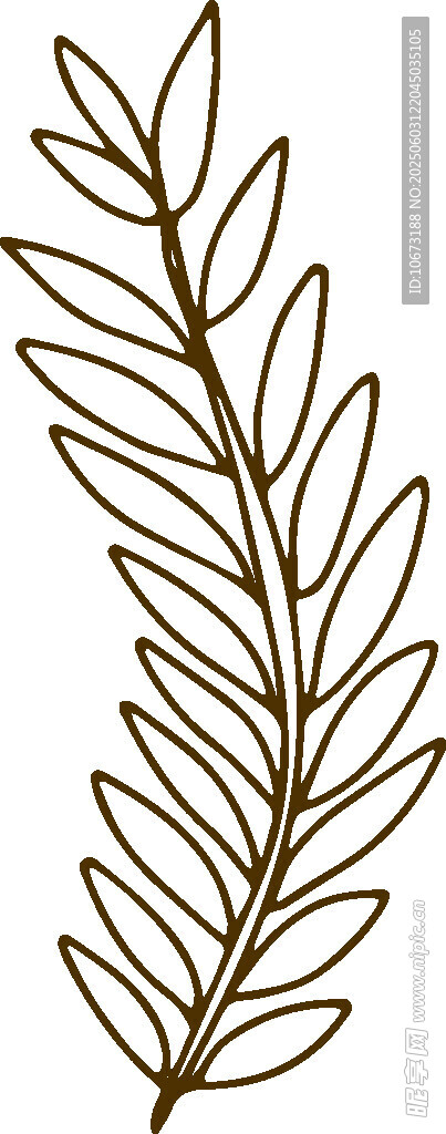 简约线条绘制的植物枝叶