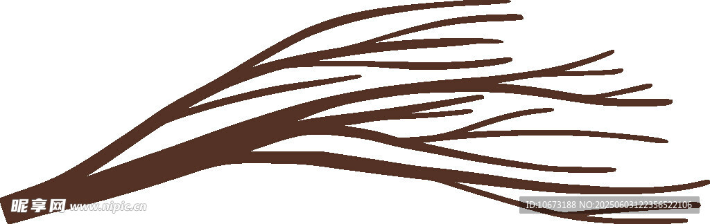 干枯树枝插画
