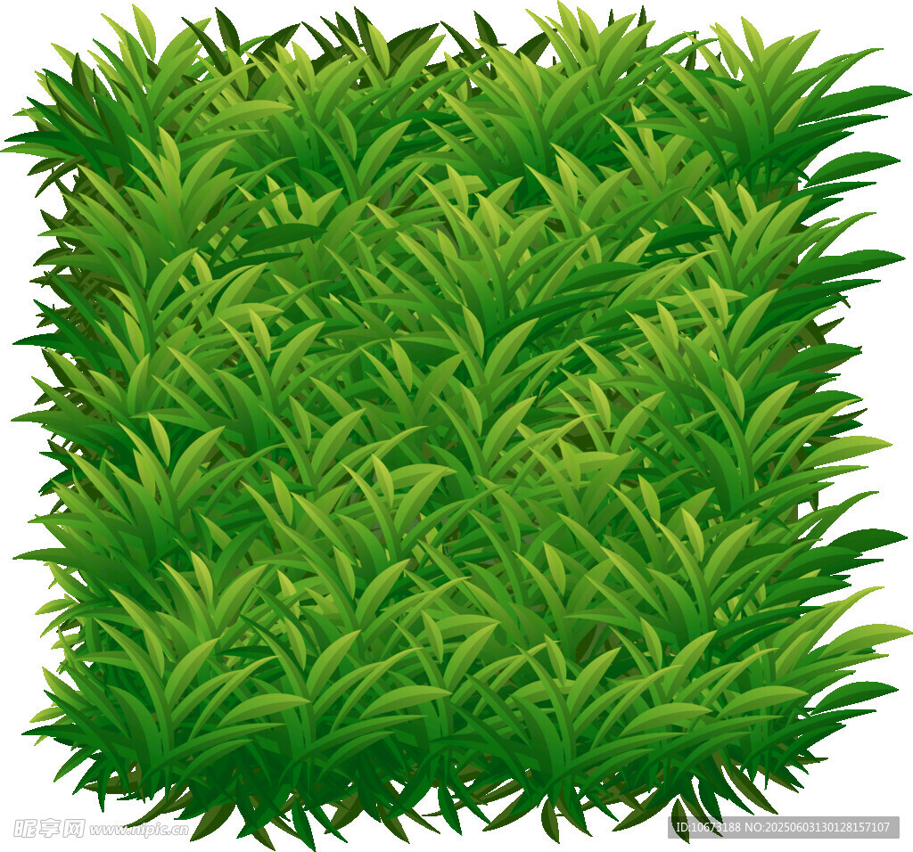 翠绿茂盛的方形草丛